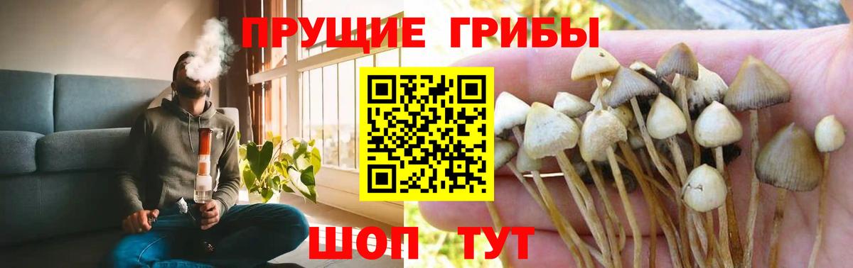 Галлюциногенные грибы Cubensis  Вход с VPN  Галлюциногенные грибы Magic Shrooms  Жуковский 