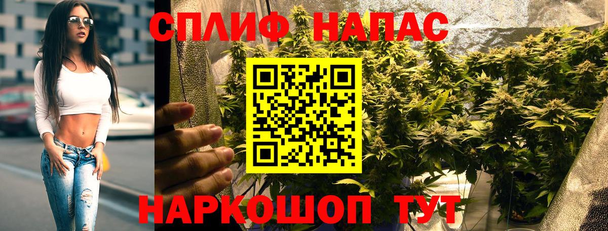 Бошки Шишки индика  Марихуана OG Kush  Бошки марихуана гибрид  Жуковский  Марихуана планчик  Вход с VPN 